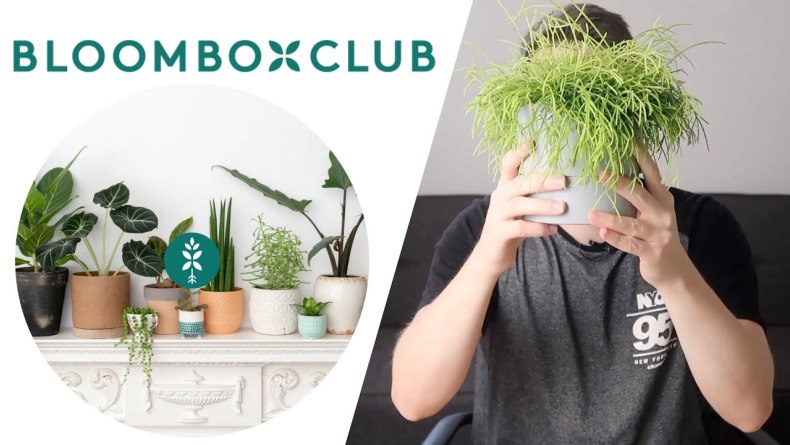 Bloombox Club is the best place to order flowers online in UK