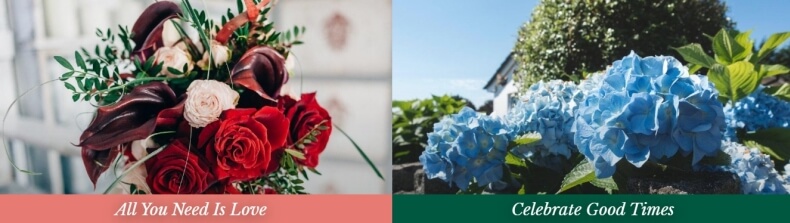FloraQueen: Best Online Florist in the UK