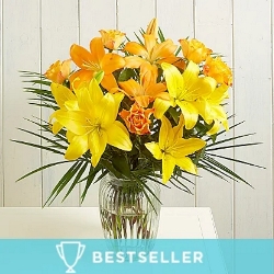 AZTEC SUN Arrangement