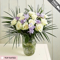 Twilight Arrangement